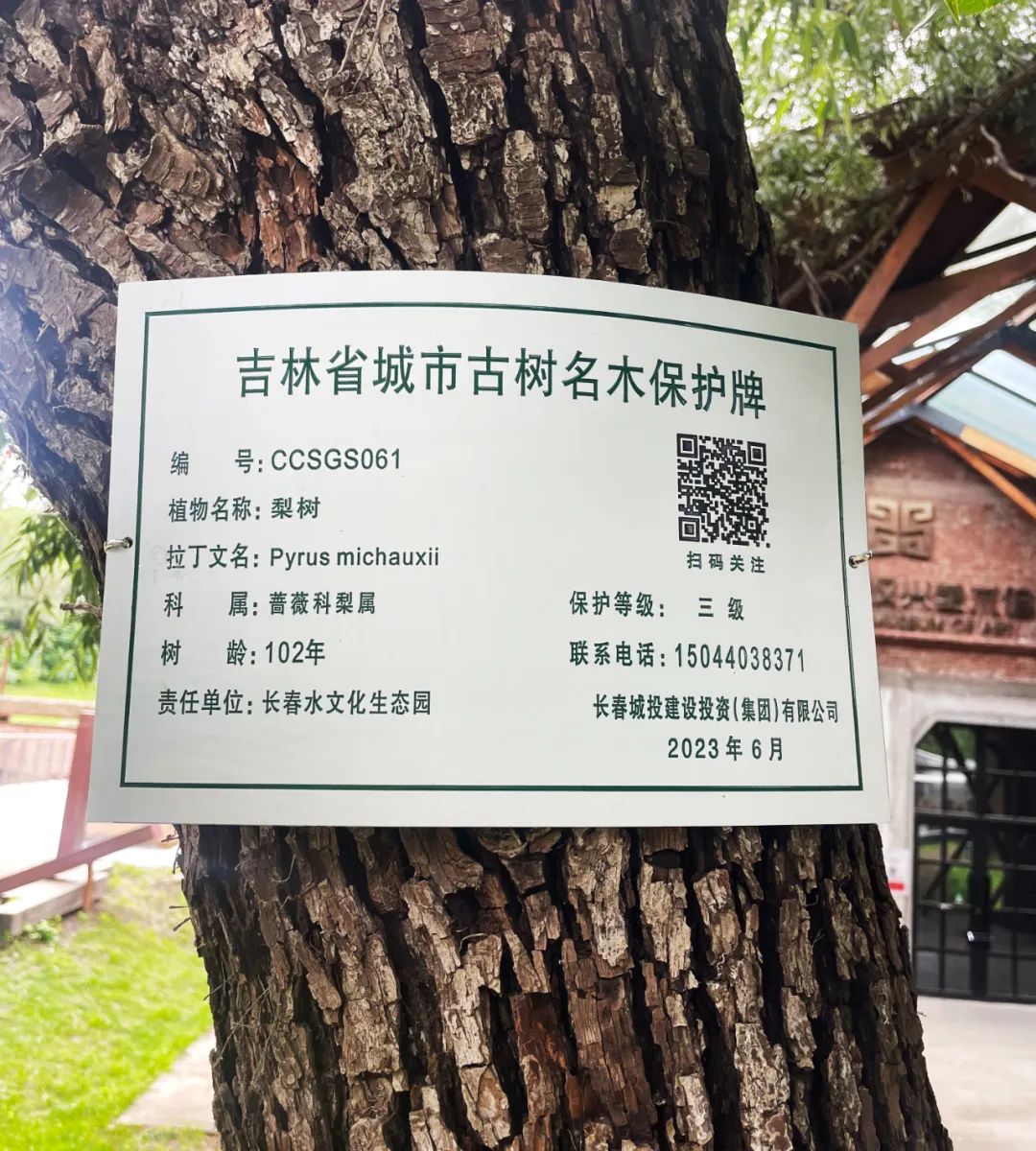 不朽情缘MG(中国区)官方网站 -首页入口