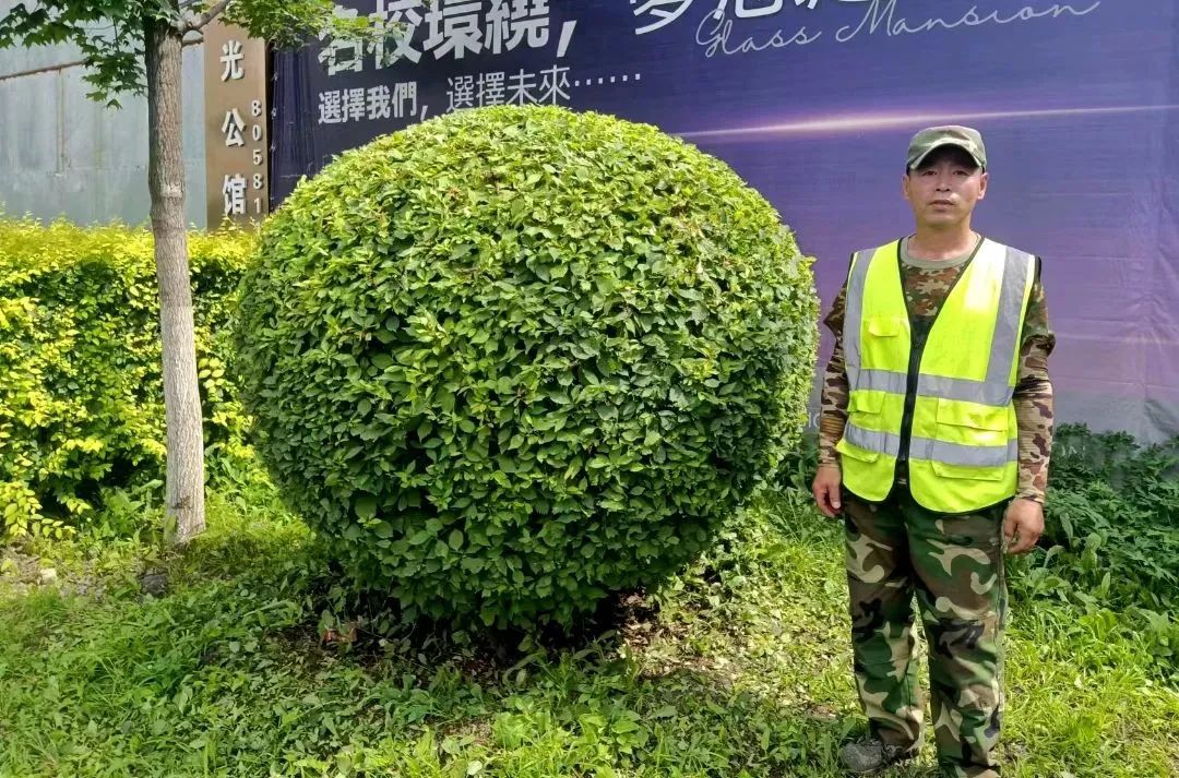 不朽情缘MG(中国区)官方网站 -首页入口